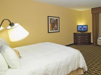 Hotel Hampton & Palestine